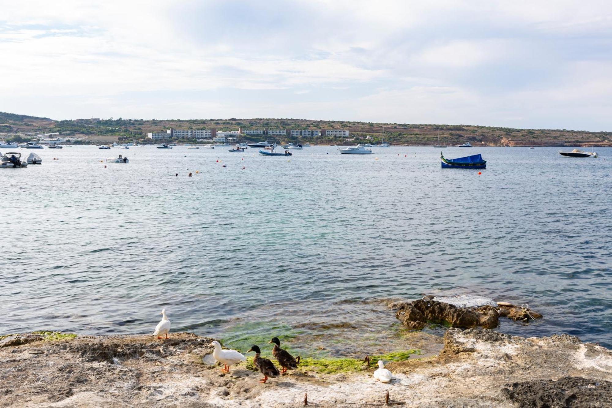 Ne1 - Lovely 2 Bedroom Apartment. Perfect Location Mellieħa Exteriér fotografie